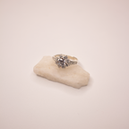 Anillo Estrella